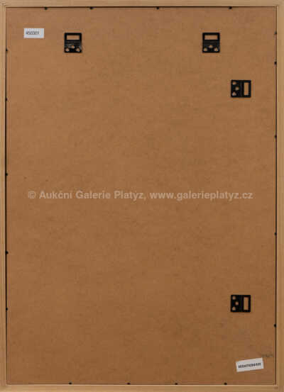  / Vasco da Gama / Adolf Born