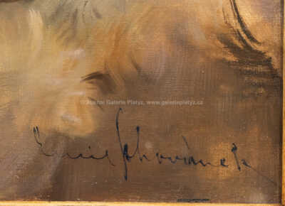  / Dívka s perlami / Emil Schovánek