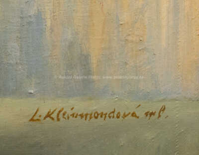  / Kytice gladiol / Ludmila Kleinmondová 