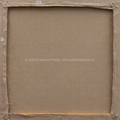  / Mlhavé představy / Kamila Ženatá