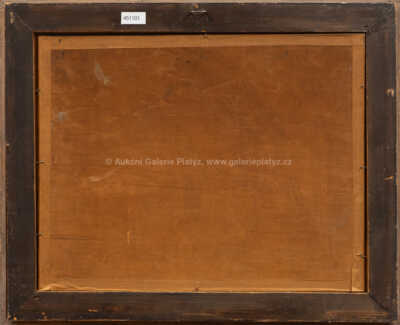  / Děvín / Josef Krejsa