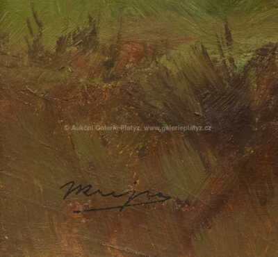  / Děvín / Josef Krejsa