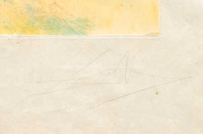  / Metamorfóza / Salvador Dalí