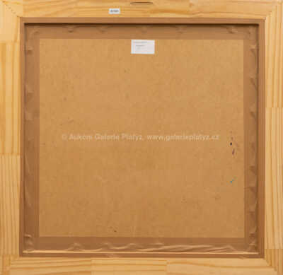  / Psychedelická meditace / Jaroslav Vlasák