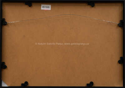  / Homér, Odysseia / Jan  Bauch