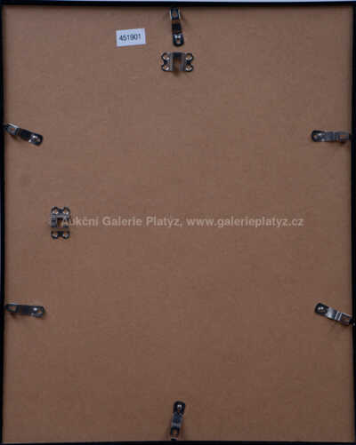  / Modrý pokoj / Josef Velčovský