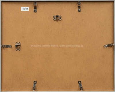  / Most Sully v Paříži / František  Tichý