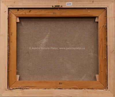  / Hnědák / Ivana Jurná Lipská