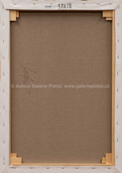  / Měděná abstrakce / Henrich Šusták