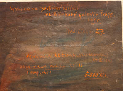  / Ulice v Karlových Varech / Ferdinand Kotvald