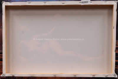  / Veronika / Jan Saudek