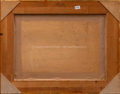  / Rozkvetlá jabloň / Václav Rabas