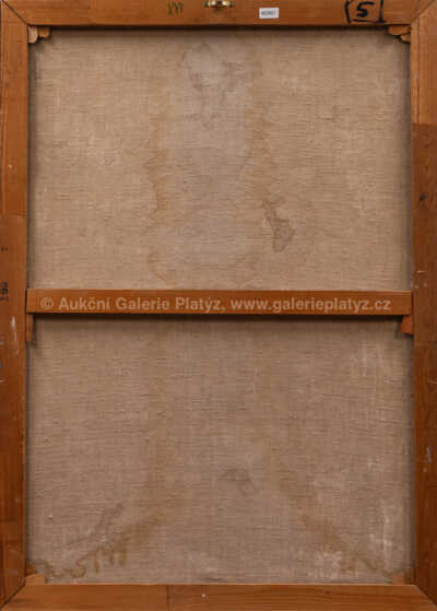  / Dům u vody / Oldřich Smutný