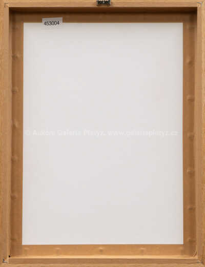  / Maloskalský betlémek / Josef Jíra