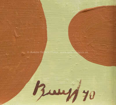  / Zimní stadion / Vlastimil  Beneš