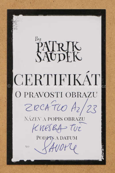  / Zrcátko / Patrik Saudek