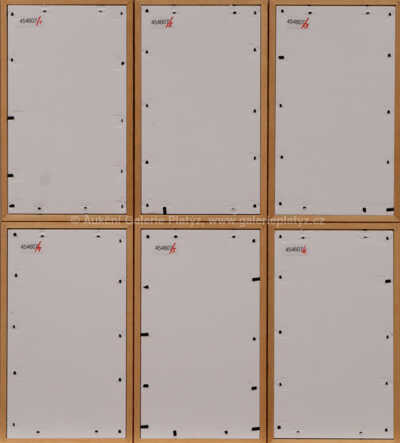  / Nejkrásnější otrokyně světa / Adolf Born