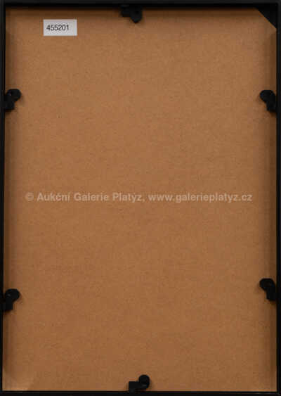  / Ženy Karla IV. / Adolf Born