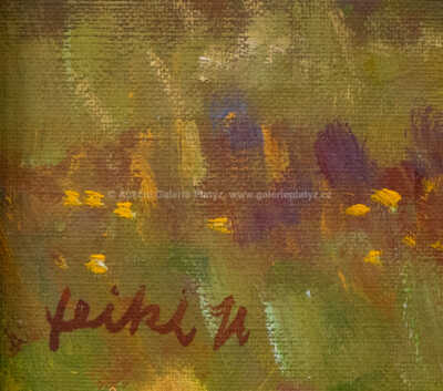  / Rozkvetlá louka / Stanislav Feikl