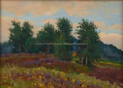  / Rozkvetlá louka / Stanislav Feikl