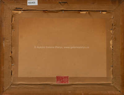  / Rozkvetlá louka / Stanislav Feikl