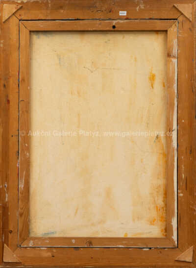  / Akt / Libor Wagner