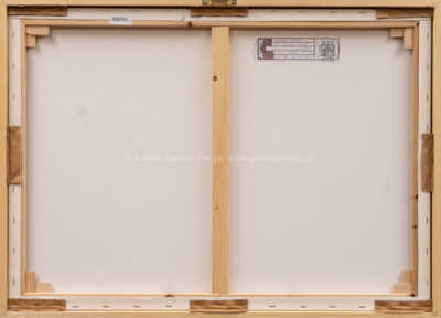  / Sen o jednom životě / Vladimír Jeniš