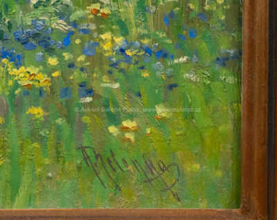  / Rozkvetlá louka / Jaroslav Zelenka