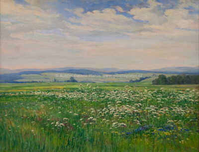  / Rozkvetlá louka / Jaroslav Zelenka