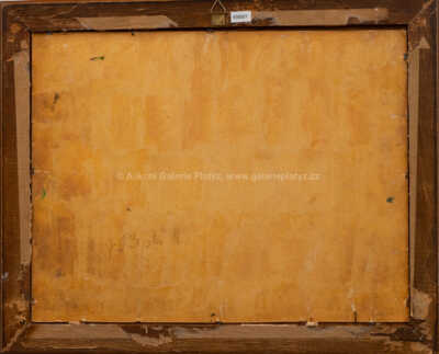  / Rozkvetlá louka / Jaroslav Zelenka