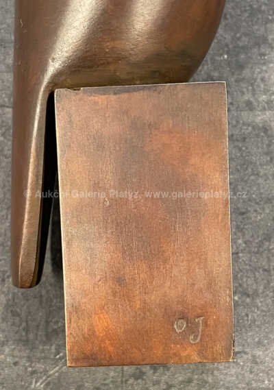  / Ptáček / Ota Janeček