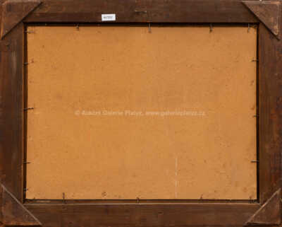  / Za vesnicí / Karel Jan Sigmund