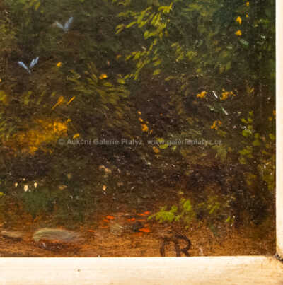  / Na rybách u Karlových Varů / Oswald Richter