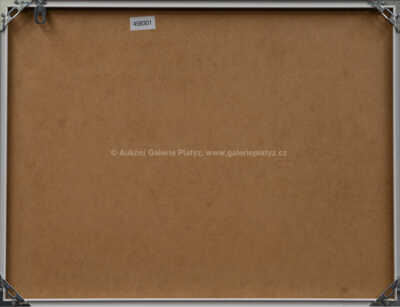  / Tleskačovo létající kolo / Marko Čermák