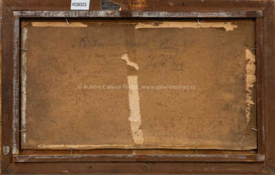  / Čelákovice - hrádek / Čeněk Choděra