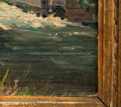  / Čelákovice - hrádek / Čeněk Choděra