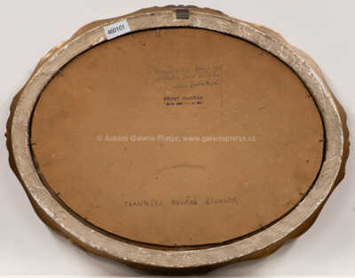  / Papoušci / František Dvořák Brunner