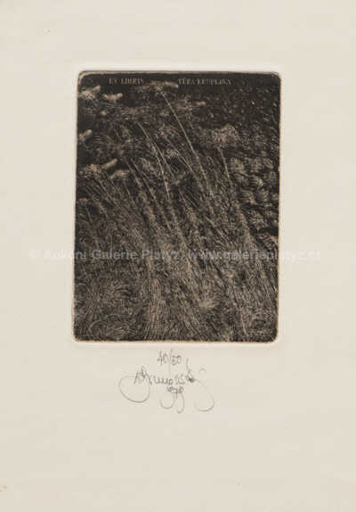  / Konvolut dvou ex libris - Nedočkavé jaro, Zuzany z Lábského jezera / Albín Brunovský