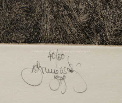  / Konvolut dvou ex libris - Nedočkavé jaro, Zuzany z Lábského jezera / Albín Brunovský