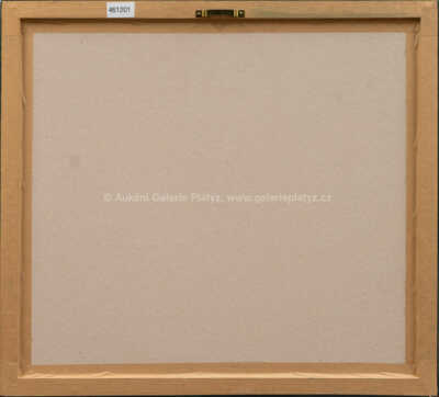  / Řetězový most II / František  Tichý