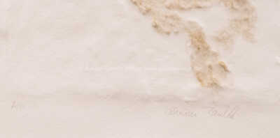  / Vlasatice levá / Olbram Zoubek