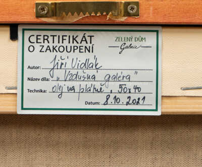  / Vzdušná galéra / Jiří Vidlák
