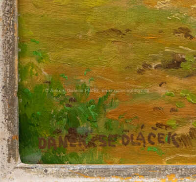  / Snopy / František Daněk - Sedláček