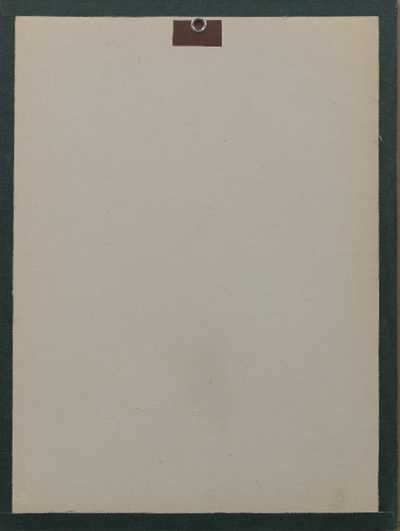  / Domácí příběhy II. / Albín Brunovský