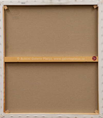  / Karlův most / Drahoslav Šolta