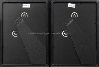  / Kovolut dvou kusů: Janáček, Shakespeare / Oldřich Kulhánek