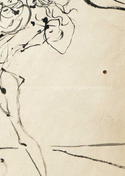  / Ballet Bachanale / Salvador Dalí