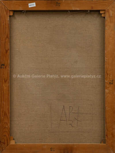  / Akt / Lutobor Hlavsa