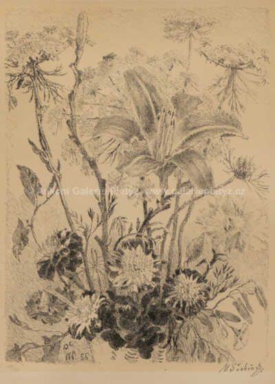  / Kvítí / Max Švabinský