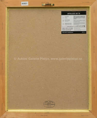  / Srstnatý nosorožec / Petr Modlitba